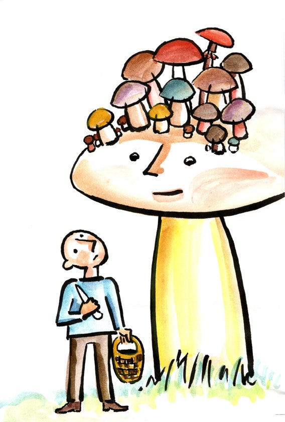 mushrooms