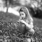Dandelions (07/08/2006)