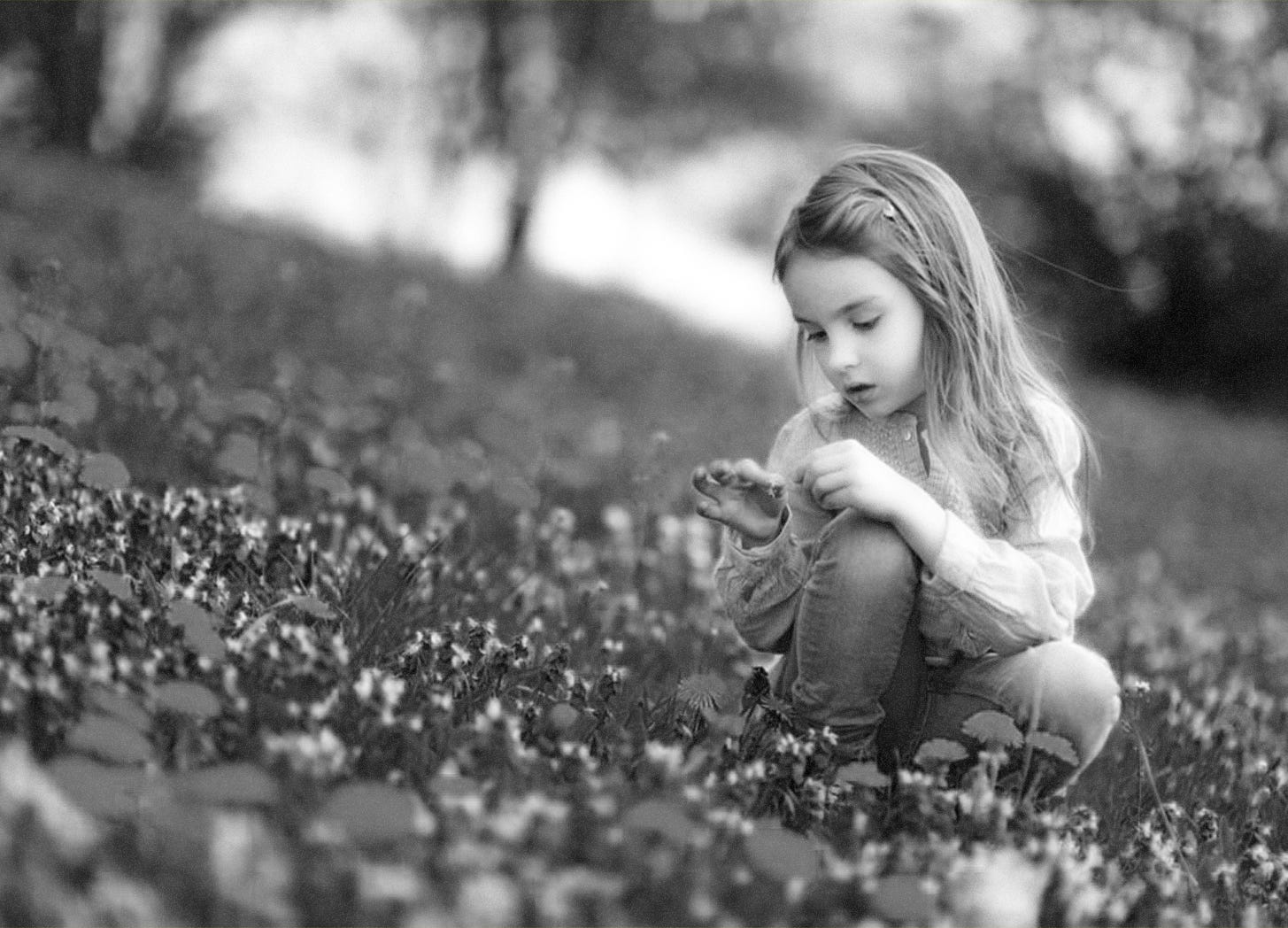 Adorable little girl in blooming dandelion flowers — Photo by MNStudio -- modified in photoshop by David C. Roberson