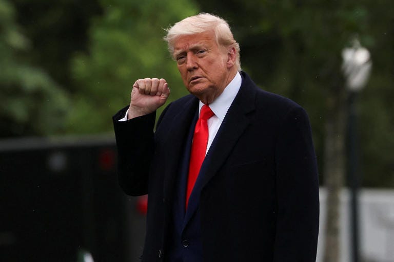 Donald Trump raises a fist to the cameras. REUTERS/Evelyn Hockstein
