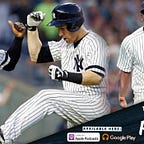 Bronx Pinstripes