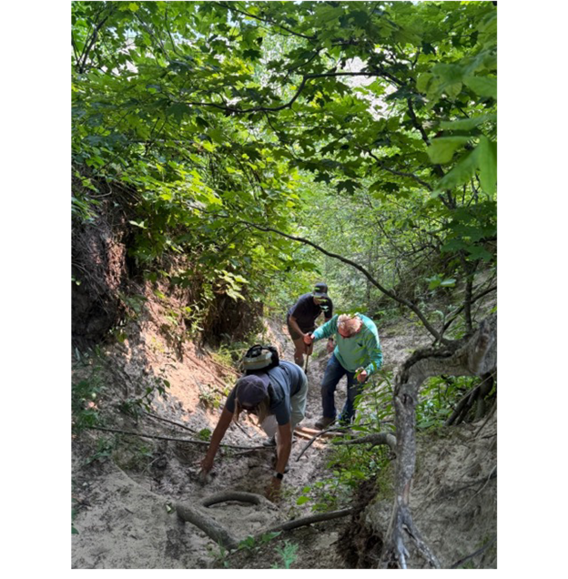 A group of people walking through a forest

AI-generated content may be incorrect.