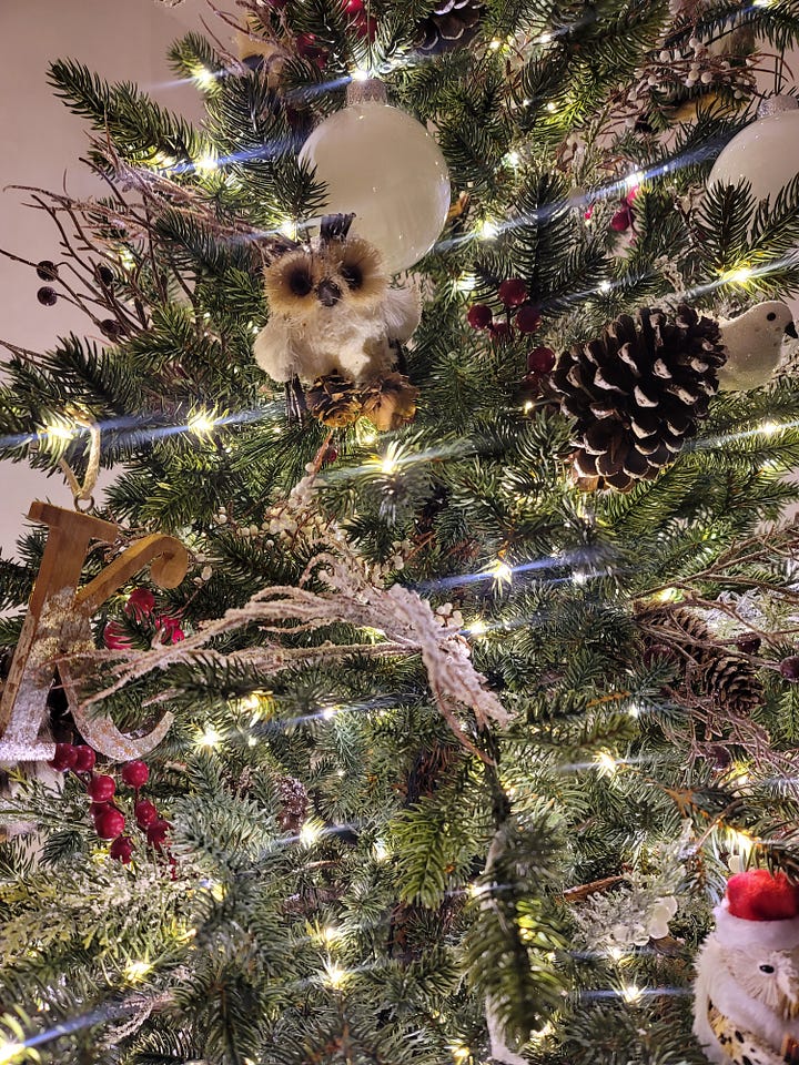 Image of Kourtney J.'s Christmas trees