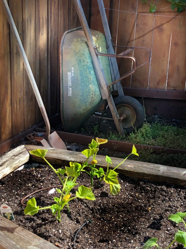 A wheelbarrow and shovel in a garden
AI-generated content may be incorrect. A wheelbarrow and shovel in a garden
AI-generated content may be incorrect.