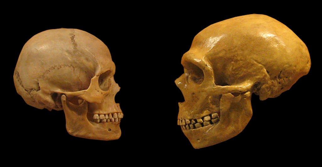 The Neanderthal-Sapiens Connection - World History Encyclopedia The Neanderthal-Sapiens Connection - World History Encyclopedia