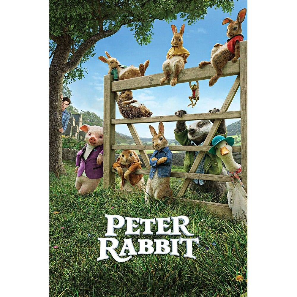 Poster del film Peter Rabbit 2018 Wall Art / Poster del film minimalista  2023 / Poster in tela di alta qualità / Stampa poster del film classico -  Etsy Italia