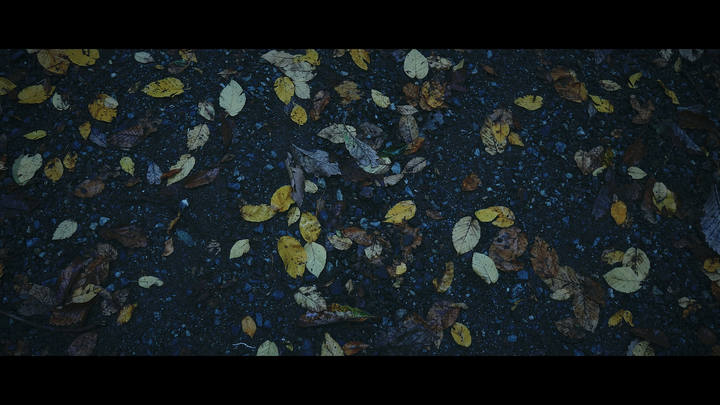 Spokój - An Introduction