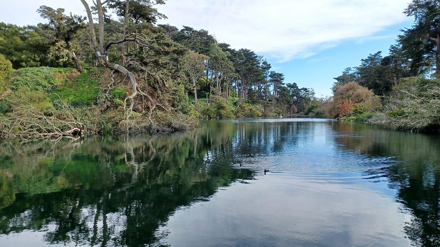 A week-long guide to San Francisco