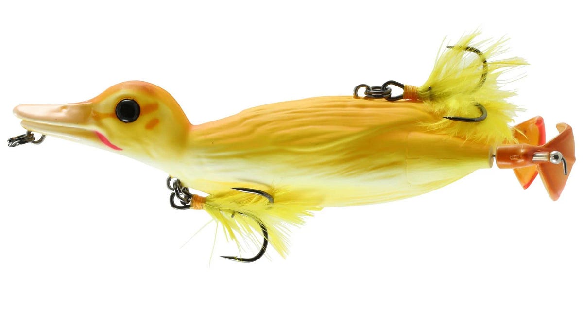 bass eats duck lure The duck lure - by Waseem Daher
