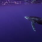 El verdadero impacto de DeepSeek en la IA