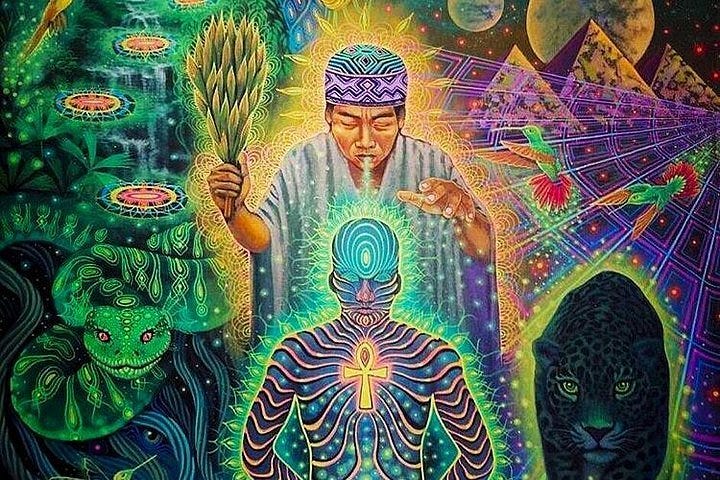 2024 Ceremonia de ayahuasca un toma