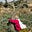 The Palestinian Writer's avatar