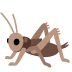 🦗