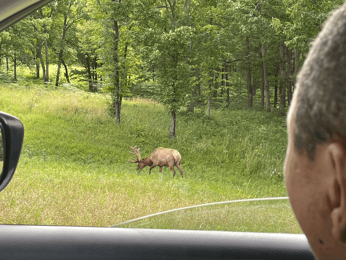 I Love America Tour: Day Four Land Between the Lakes