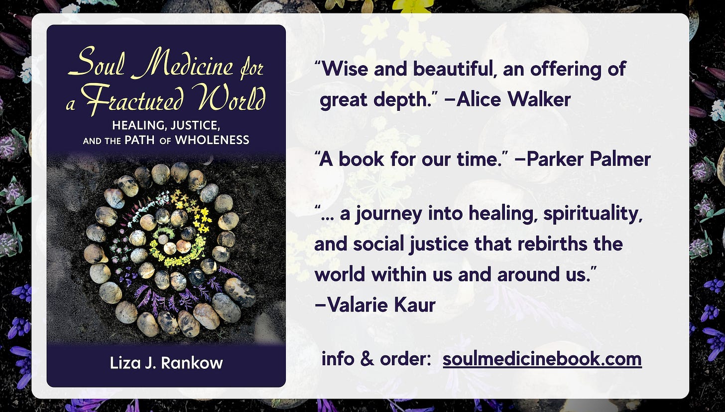 Image shows the book cover on the left. At its center is a spiral made of stones and flowers upon the soil, the title of the book is in yellow calligraphy against a dark purple background. Next to the book image are three brief endorsement quotes, including Alice Walker who calls the book "Wise and beautiful, an offering of great depth."