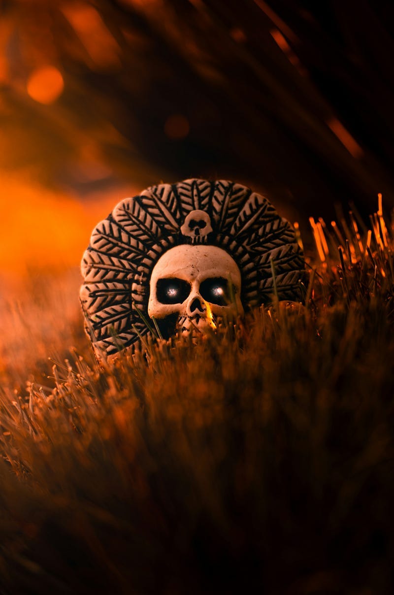 Skull with shiny eyes, on a grass