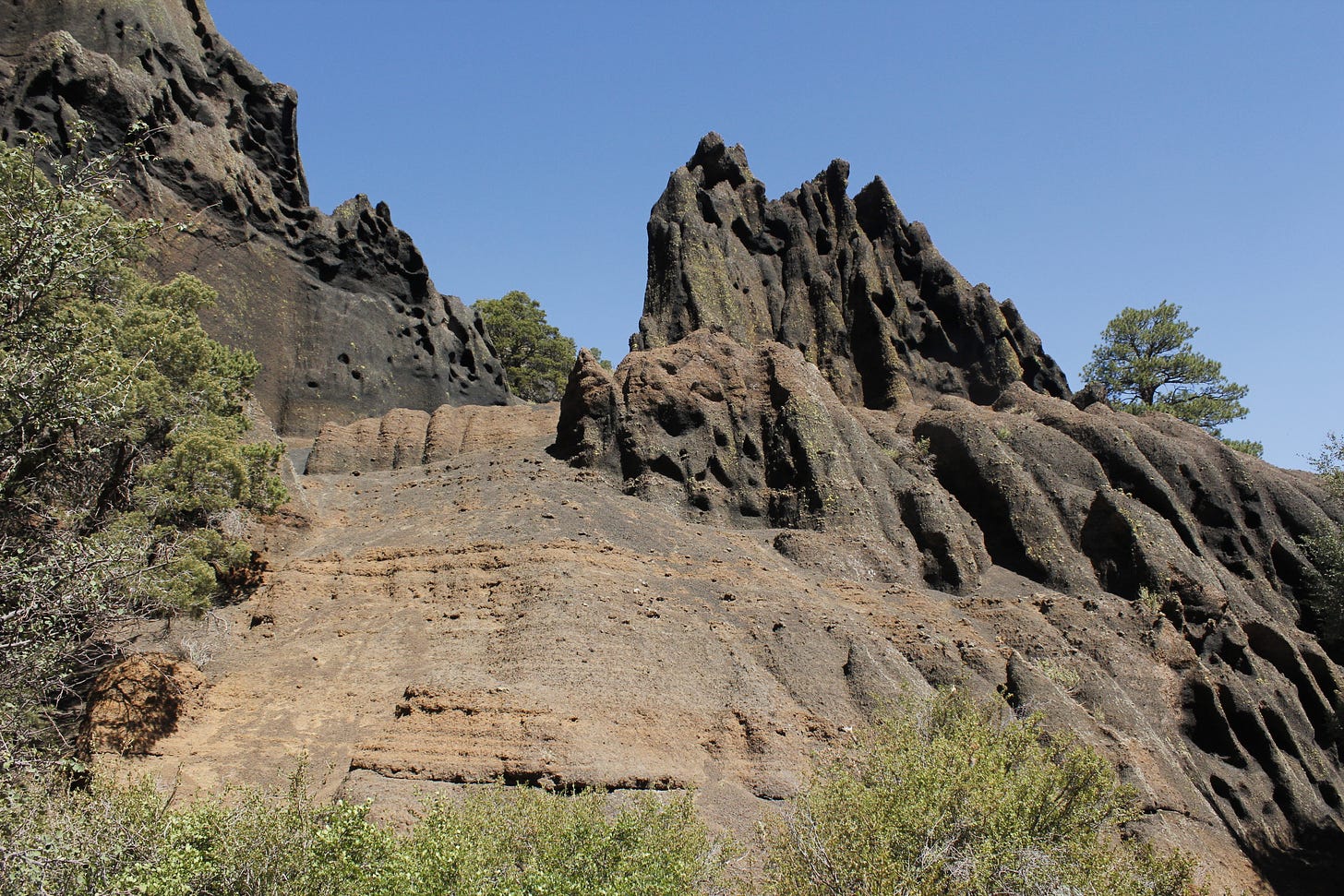 jagged, coarse rock formations with shrubs growing around