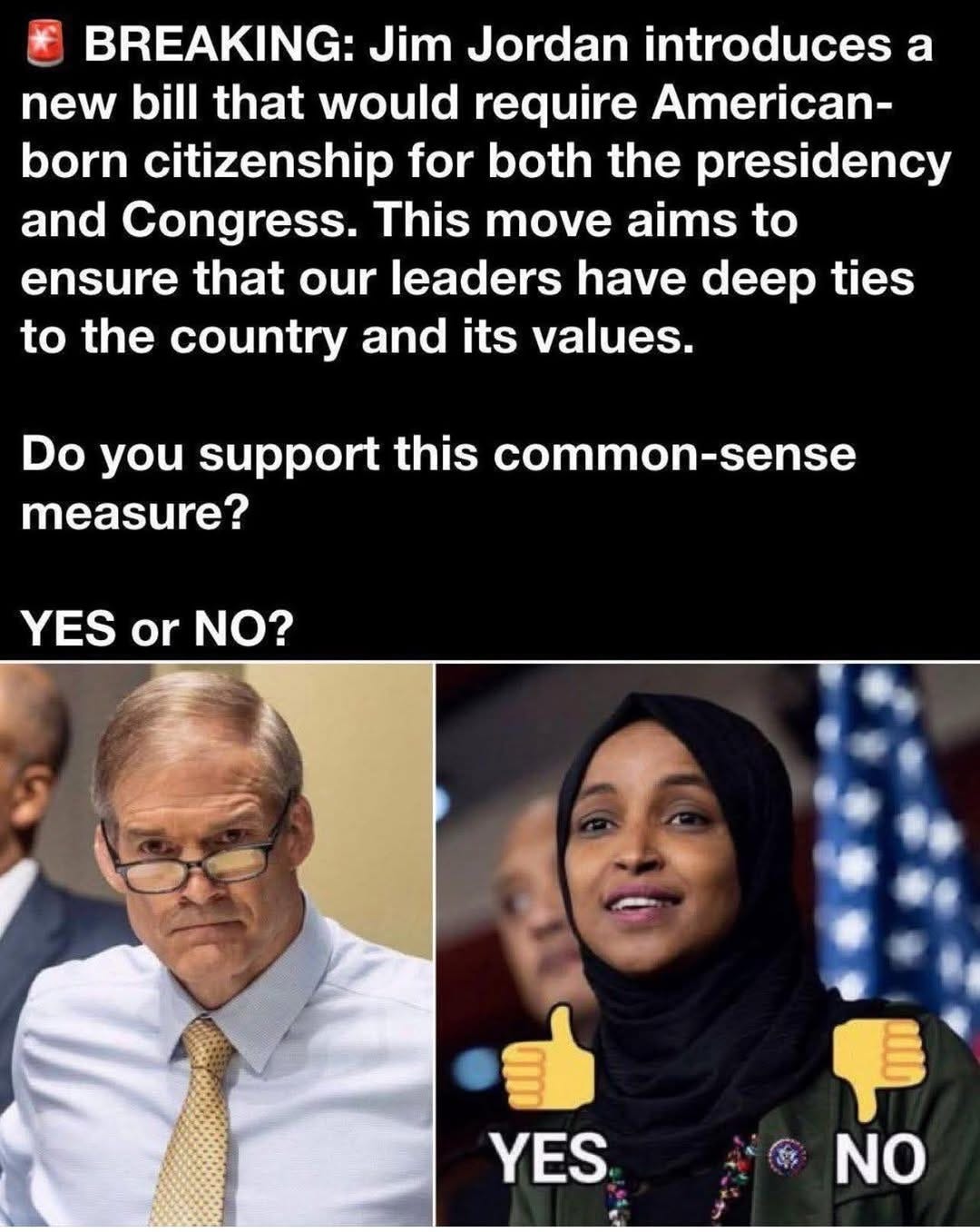 May be an image of 2 people, the Oval Office and text that says 'BREAKING: Jim Jordan introduces a new bill that would require American- born citizenship for both the presidency and Congress. This move aims to ensure that our leaders have deep ties to the country and its values. Do you support this common-sense measure? YES or NO? YES NO'