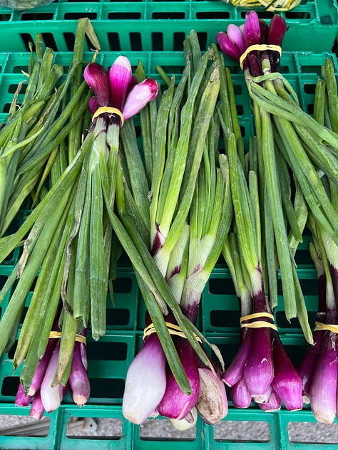 Journal, farmers market, vegetables