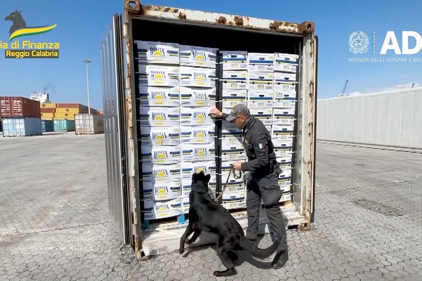 A man points and a black dog looks up at cardboard boxes.
