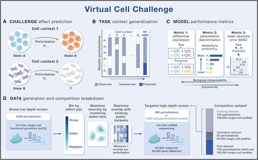 A diagram of a cell

AI-generated content may be incorrect.