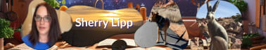 Sherry Lipp