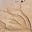 Rafraf's avatar