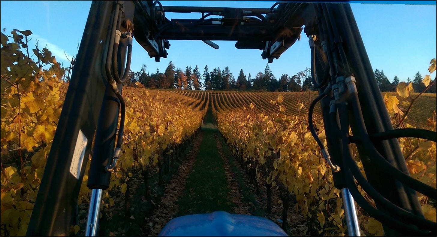 And this is where we are headed, Vintage 2022.