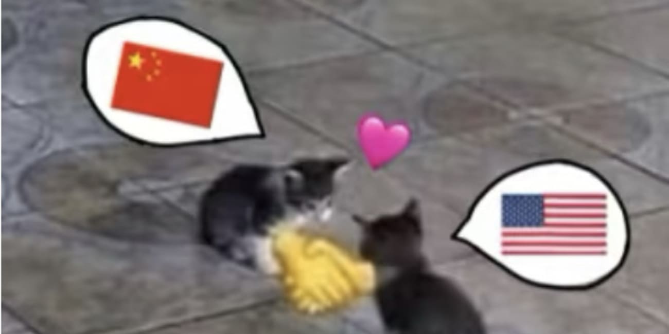 I am your Chinese spy. Show me your cat.