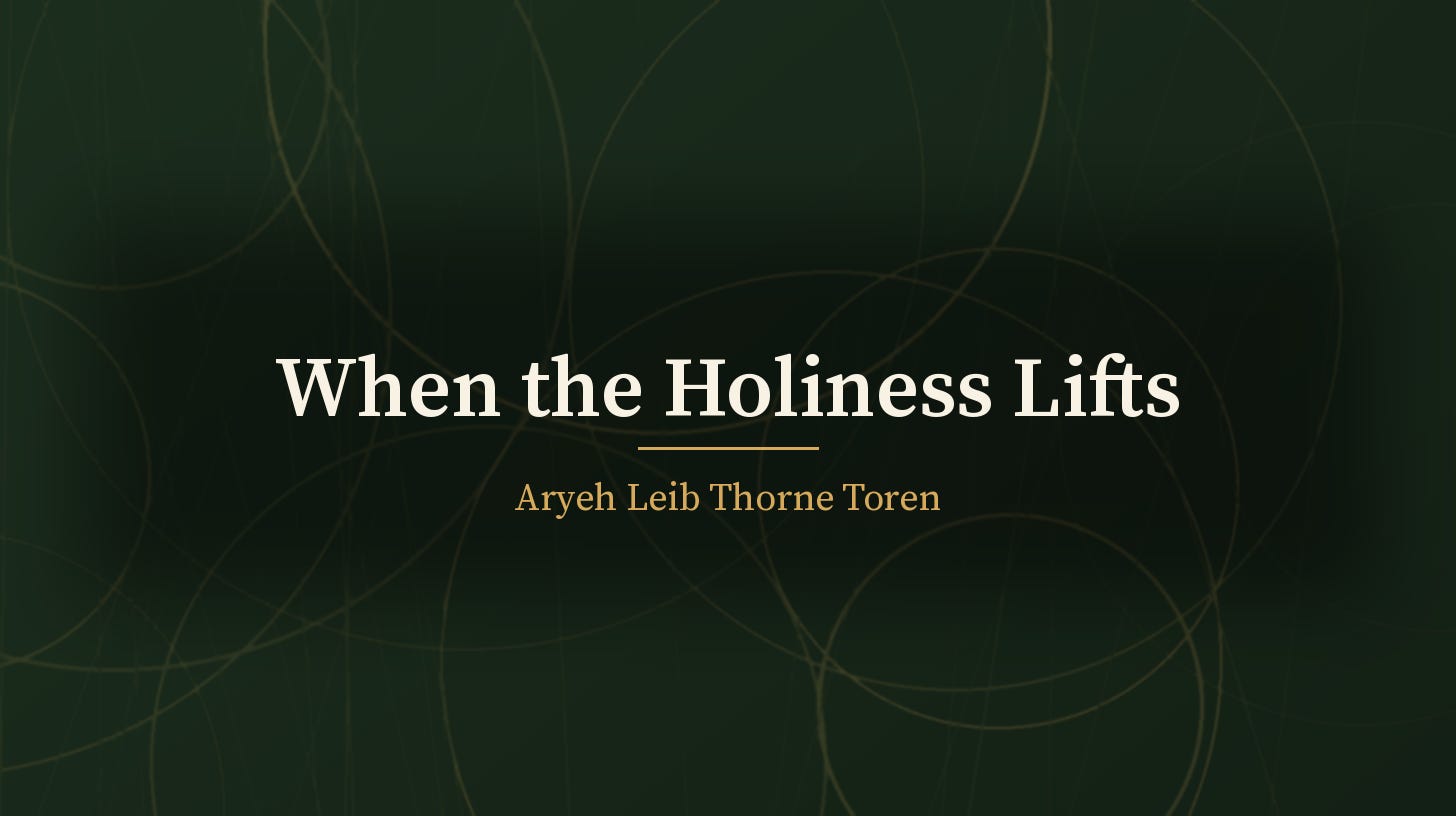 Abstract dark green field of overlapping faint gold rings, with the title "When the Holiness Lifts" centered in cream serif type and the byline "Aryeh Leib Thorne Toren" in gold beneath a short gold rule.