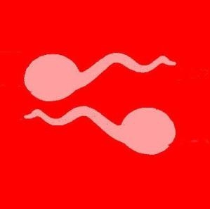 sperm sperm