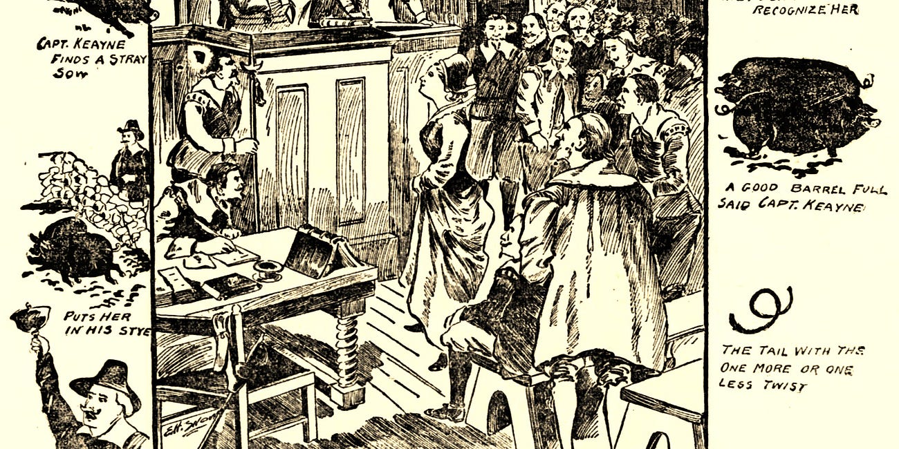 The Case of Mrs. Sherman's Stray Pig