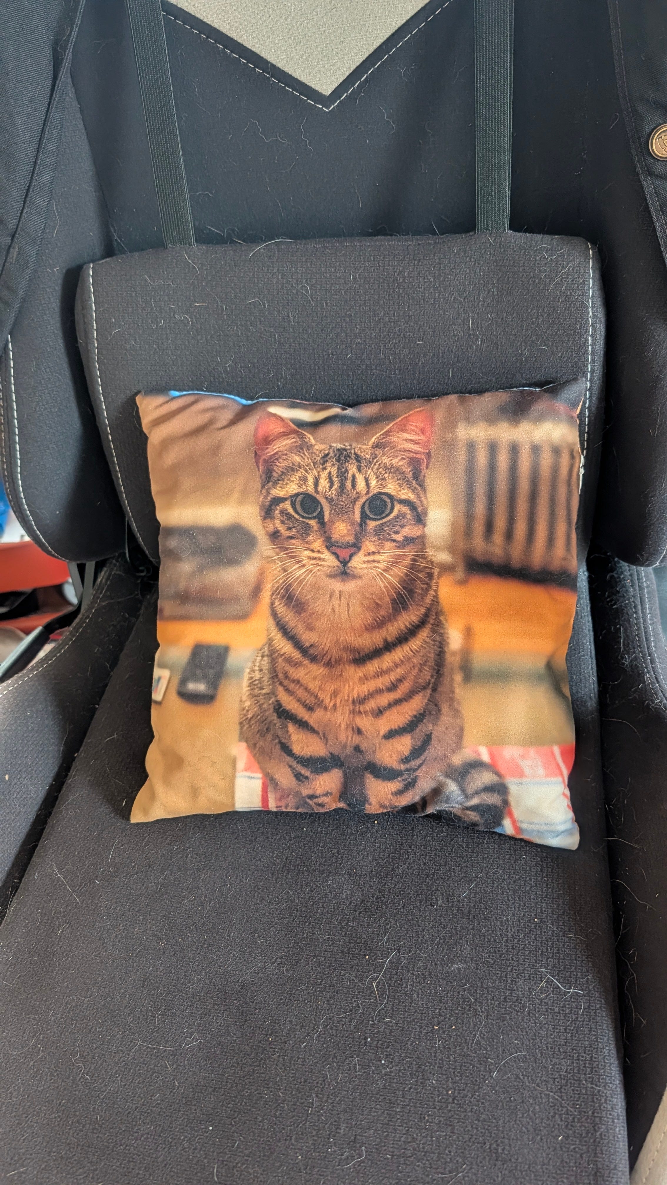 EarthStuff - Which image for Moxie the Shiba's couch cushion cover please?