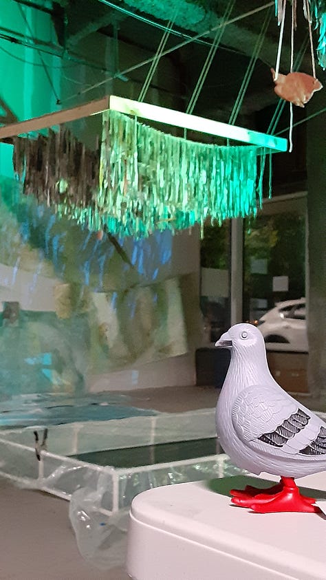In first picture, CB pigeon by the headphones and screen of Kelly Ann Pinho's video piece -- as pictured, a still from video where pale woman with blank eyes stares out in pale light; second piece, silhouette of CB pigeon in front of one of the light scultures by Sunil Garg. This one looks like a combination of DNA and a jellyfish in red and green; in third photo, CB pigeons looks on at a section of the Newark Wetlands Project, from Amanda Thackery and collaborators. As pictured, a green-blue-lit canopy made from newspaper, along with blue-green tapestries and a section of a swampy pool.