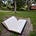 It's (mostly) About Books 