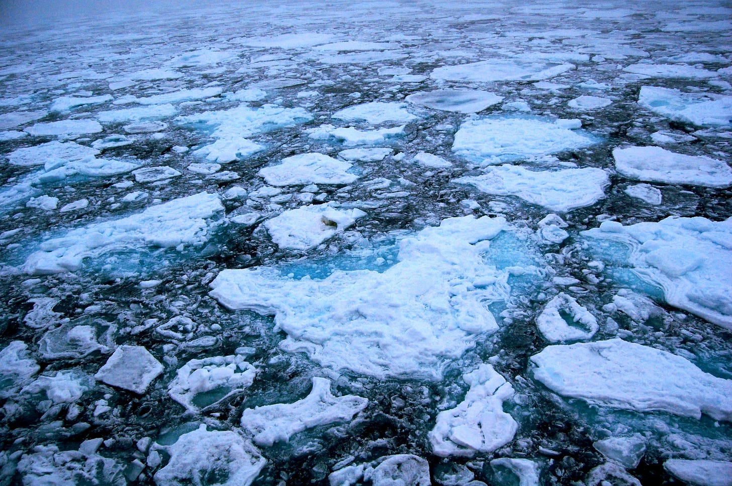 File:Arctic Ice.JPG - Wikimedia Commons