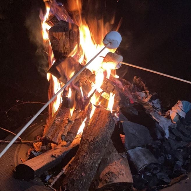 This may contain: a campfire is lit with bright flames