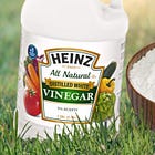 Salt and Vinegar Kettle Chips Ranking