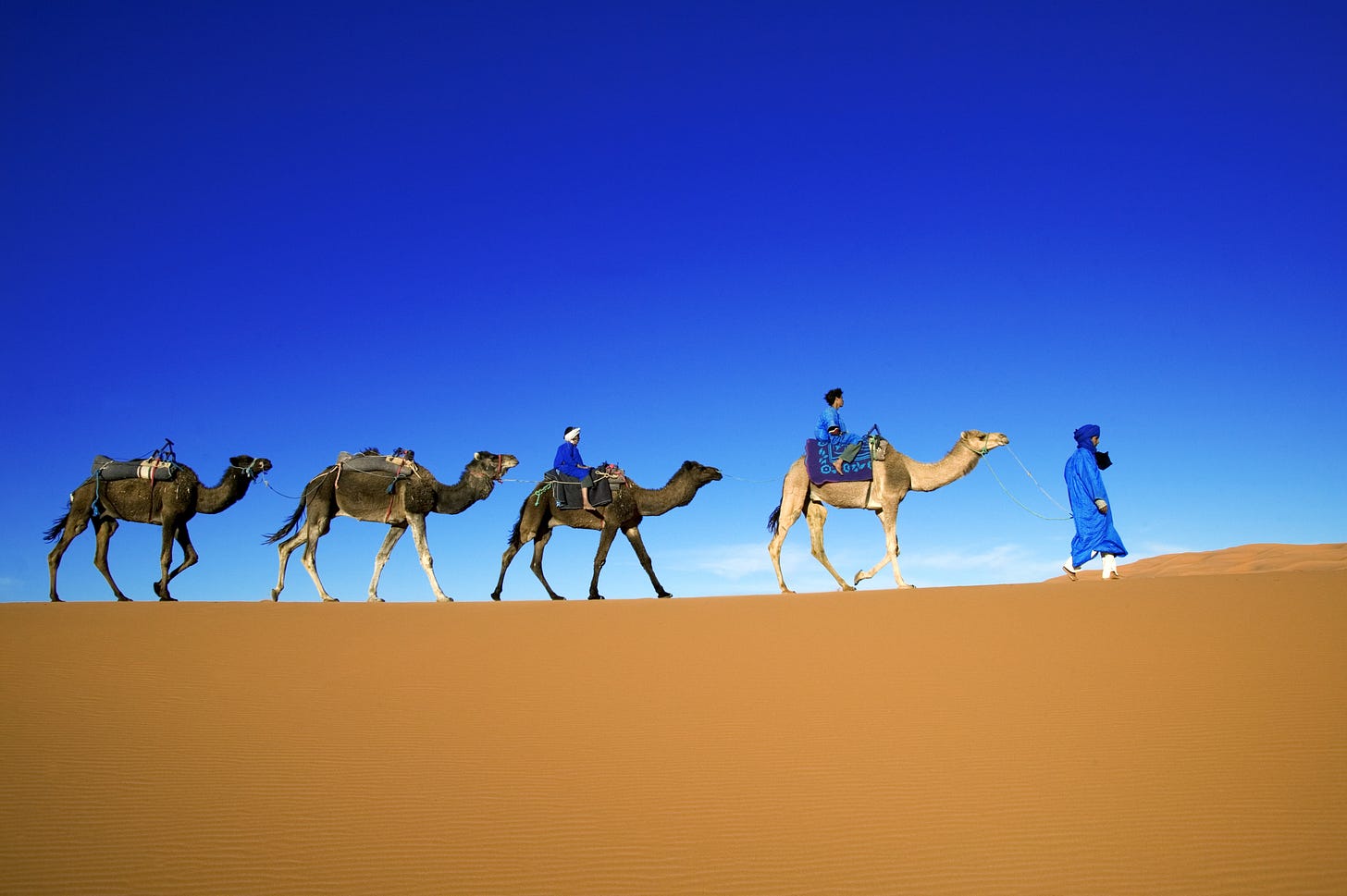 Die Tuareg: Stolze Krieger ohne Staat