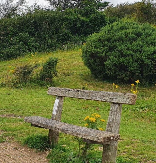 Interpretation plaque secured to a bench at Cissbury Ring, Sussex