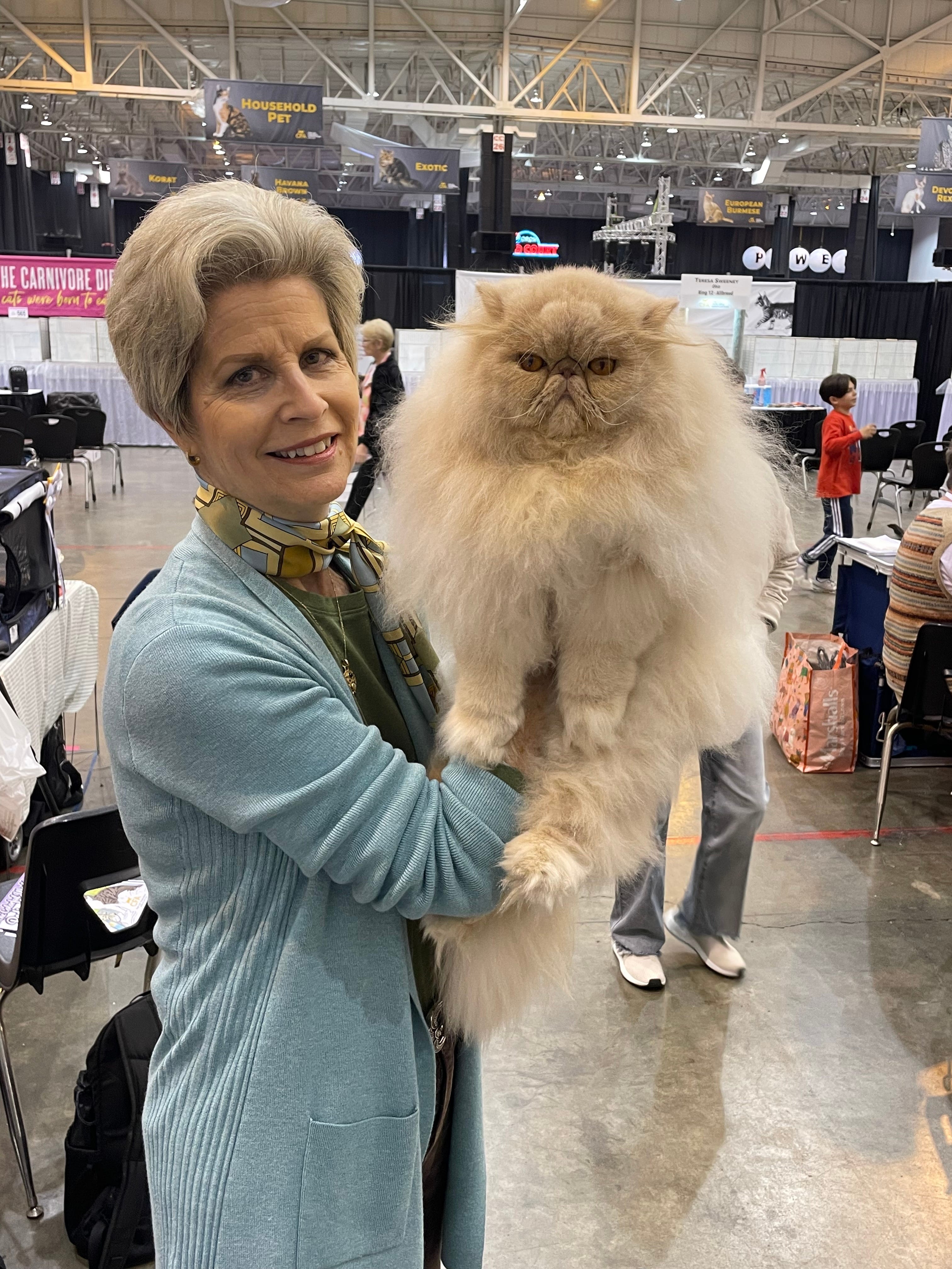 A weekend at the Cleveland International Cat Show
