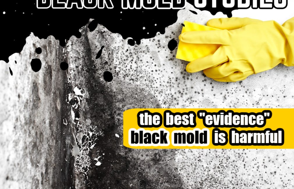 Is Harmful Black Mold a HOAX? Let's Check Out the Studies
