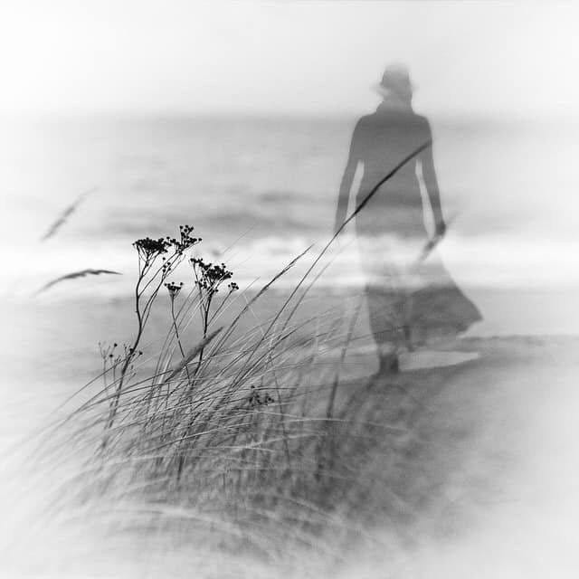 May be a black-and-white image