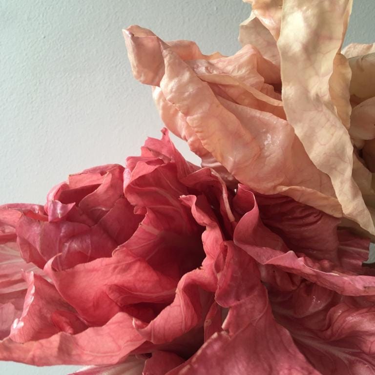 Garlic, Mint & Sweet Basil