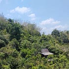 Family Sabbatical & (Careful) Hope for Community-Building | Rewilding Update