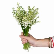 Trouvez LE grossiste de muguet pour particuliers avec France Fleurs !