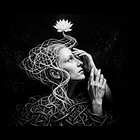 高敏感人必看：你天生就不適合待在底層