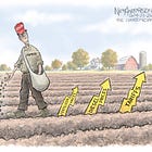 Sowing the Seeds