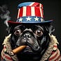 Wonkapotamus Pug's avatar