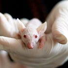 FBI Investigates Second Suspected Illegal Bio Lab in Las Vegas Linked to Chinese National and Deadly Pathogens